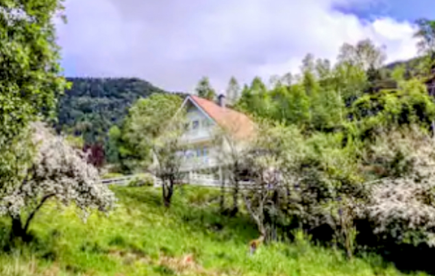 inbound7371889657663268818